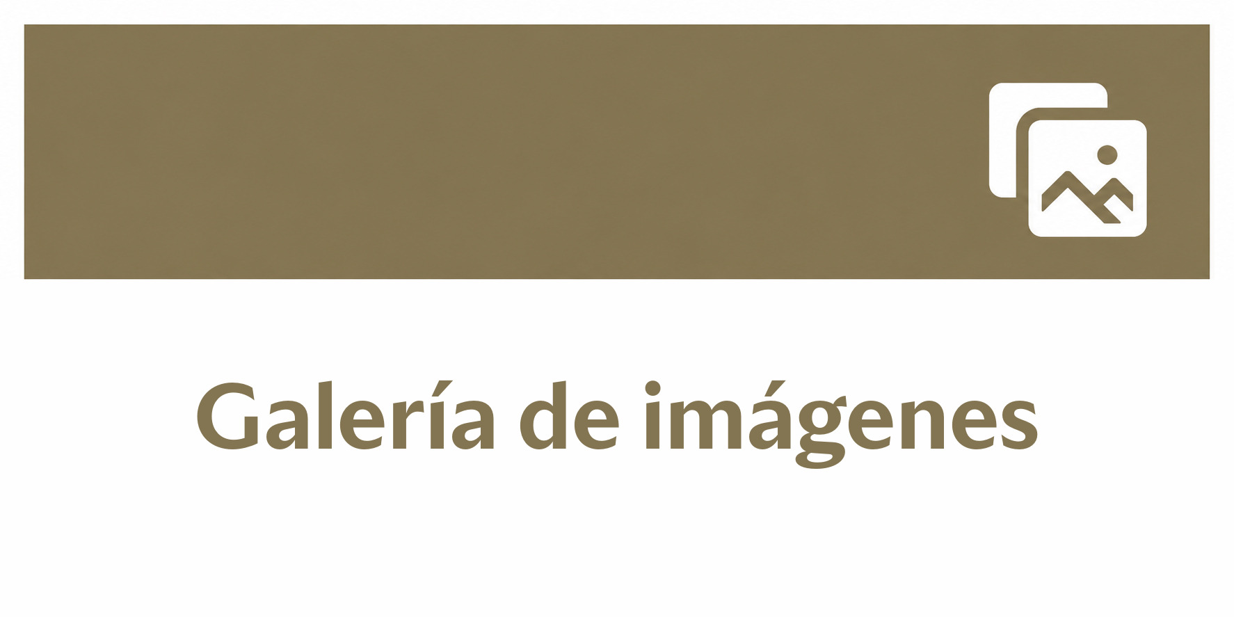 Galería de imágenes