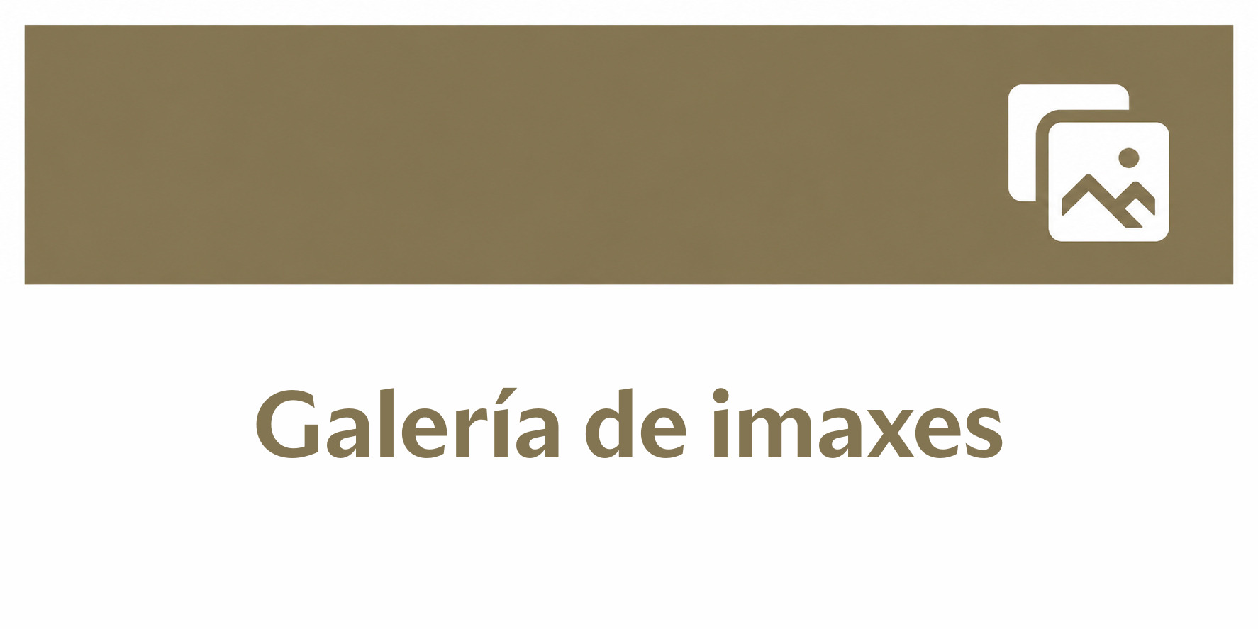 Galería de imaxes